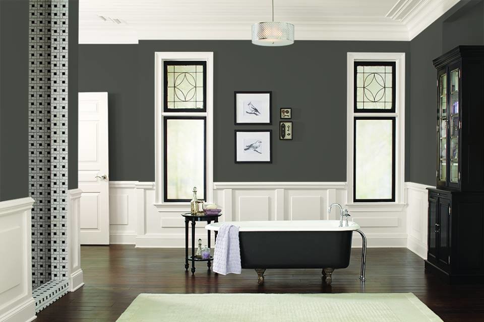 Black Fox (SW 7020) Bathroom Dusseldorf by SherwinWilliams Houzz