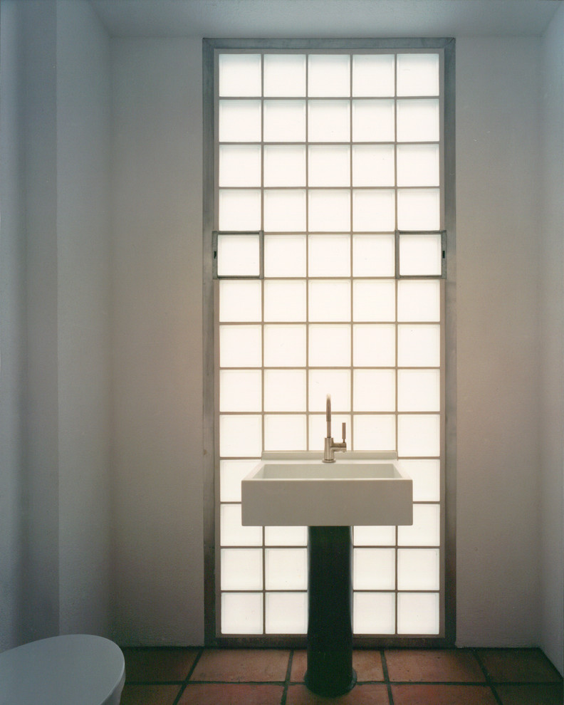 Идея дизайна: ванная комната в современном стиле с коричневой плиткой, белыми стенами и полом из терракотовой плитки