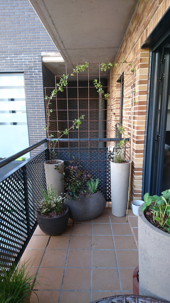 Idéer för att renovera en liten balkong, med utekrukor, markiser och räcke i metall