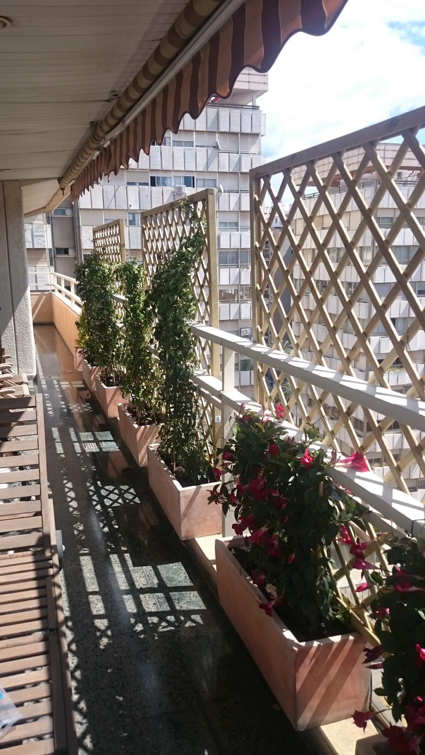 Как защитить окно или балкон от солнца