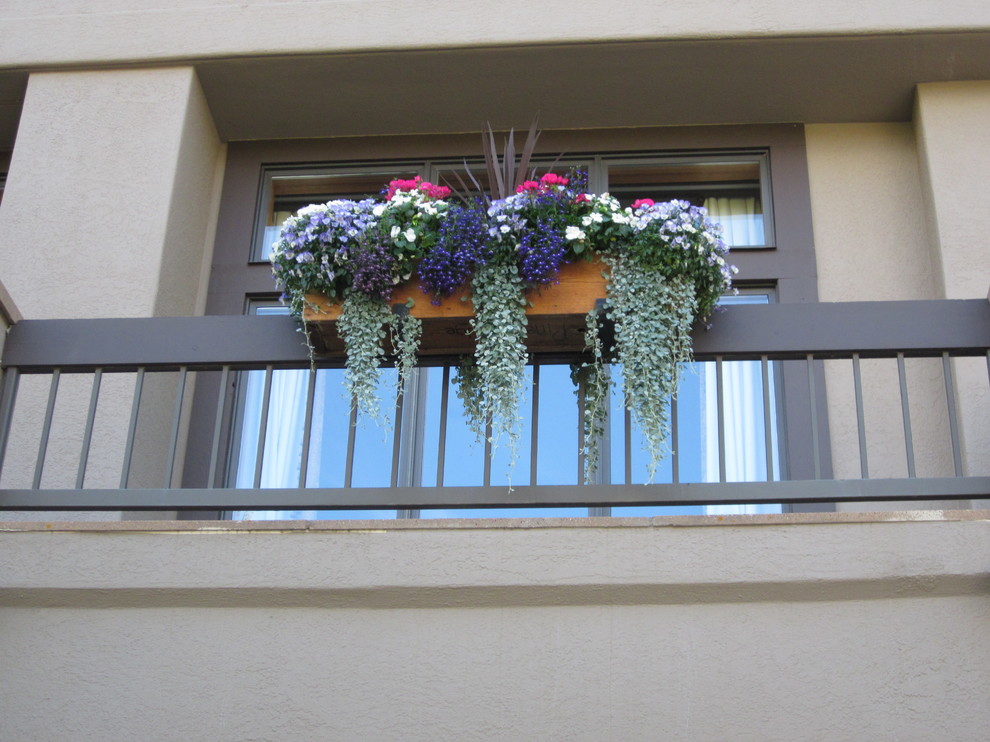 Идея дизайна: маленький балкон и лоджия в стиле рустика с растениями в контейнерах и деревянными перилами без защиты от солнца для на участке и в саду