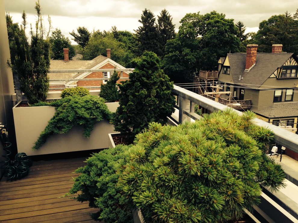 Свежая идея для дизайна: маленький балкон и лоджия в современном стиле с растениями в контейнерах и металлическими перилами без защиты от солнца для на участке и в саду - отличное фото интерьера