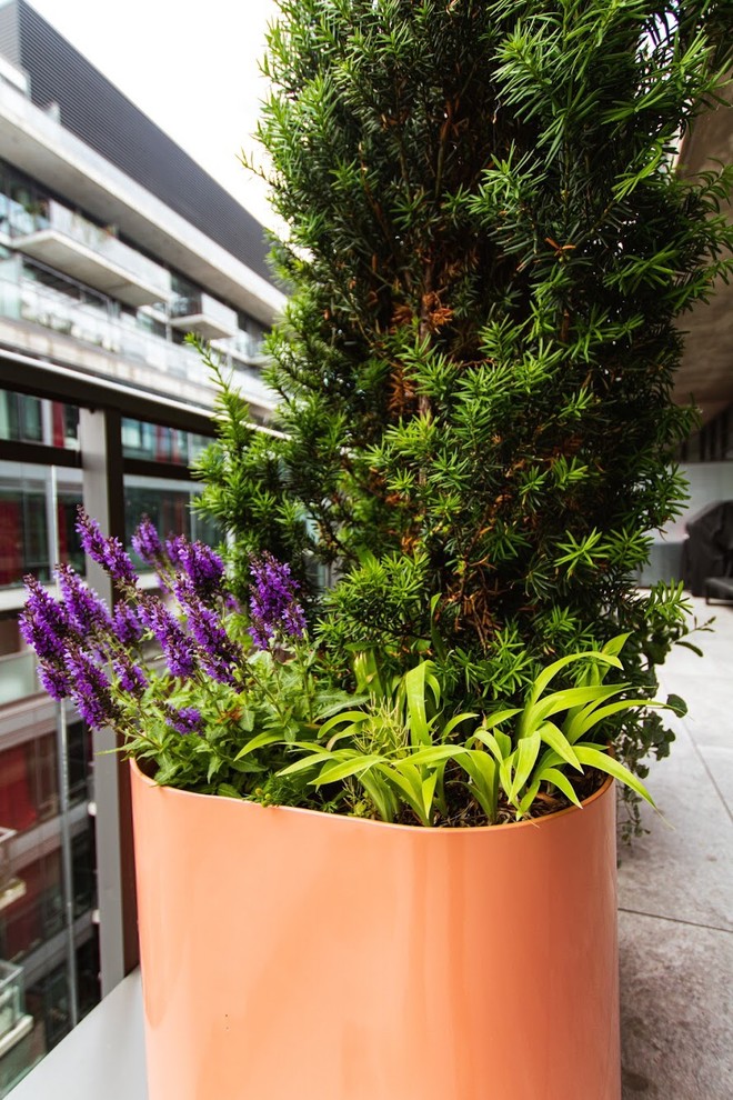 Réalisation d'un petit balcon design avec des plantes en pot, une extension de toiture et un garde-corps en verre.