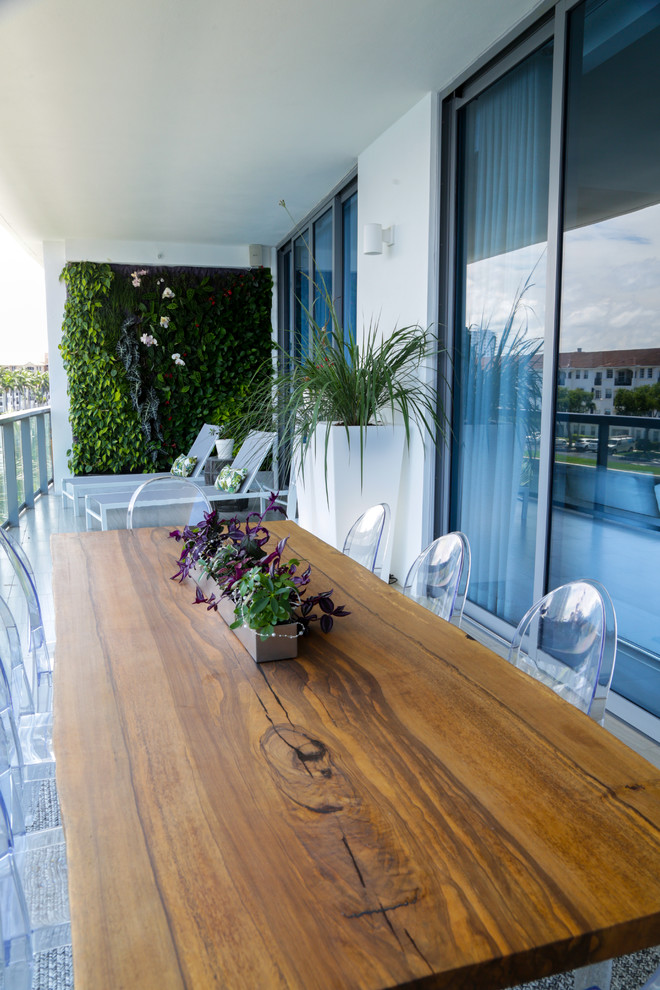 Foto på en mellanstor funkis balkong, med en vertikal trädgård, takförlängning och räcke i glas