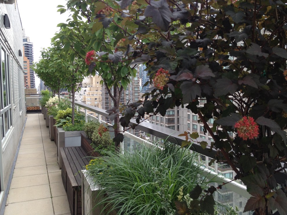 Imagen de balcones minimalista grande con jardín de macetas y pérgola