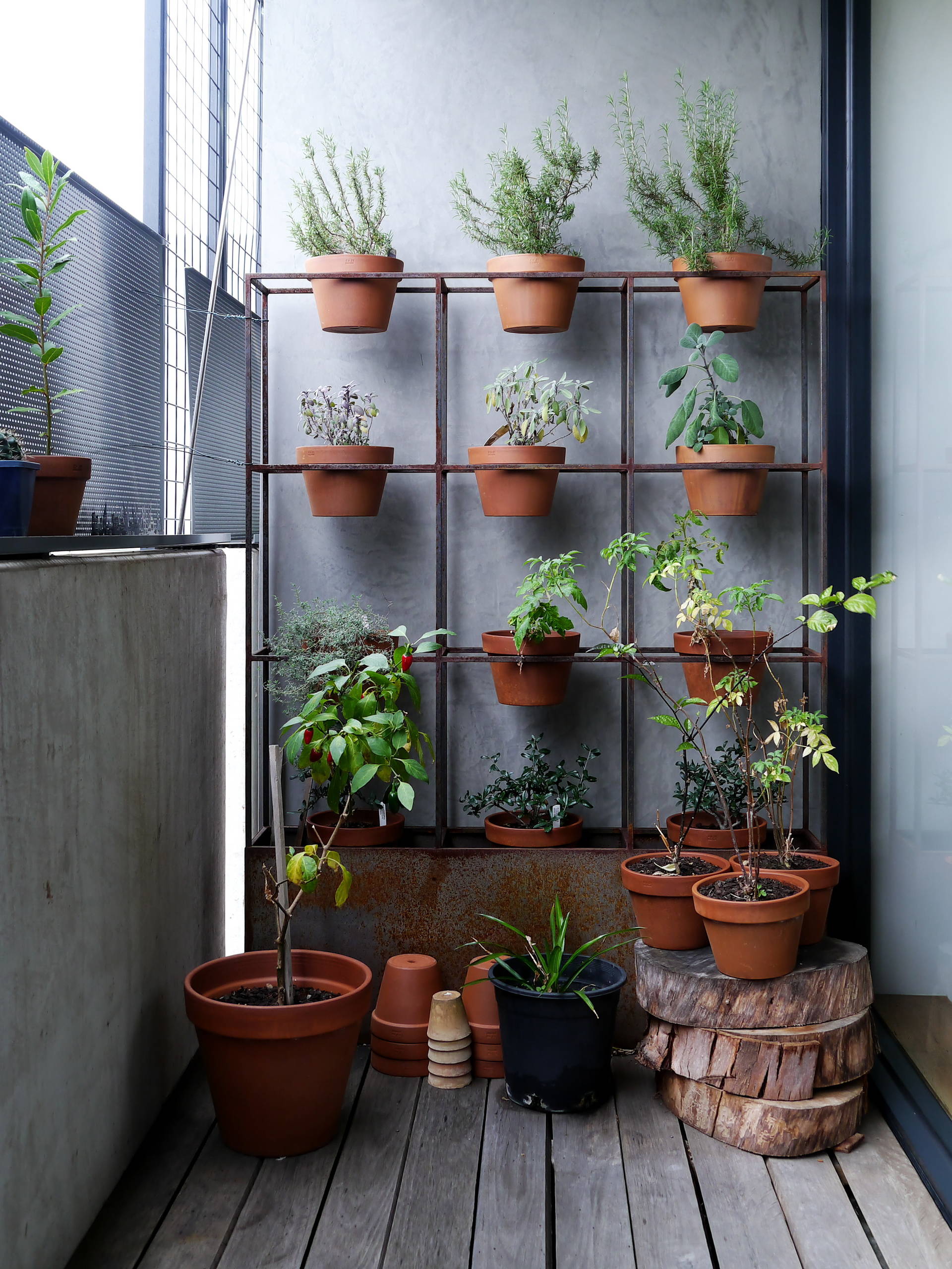 How To Create A Potted Herb Garden Houzz Au
