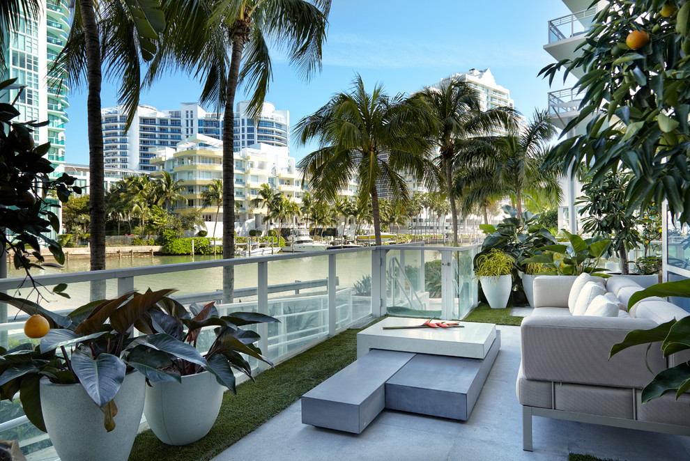 Photo of an expansive modern balcony in Miami with a potted garden and no cover.