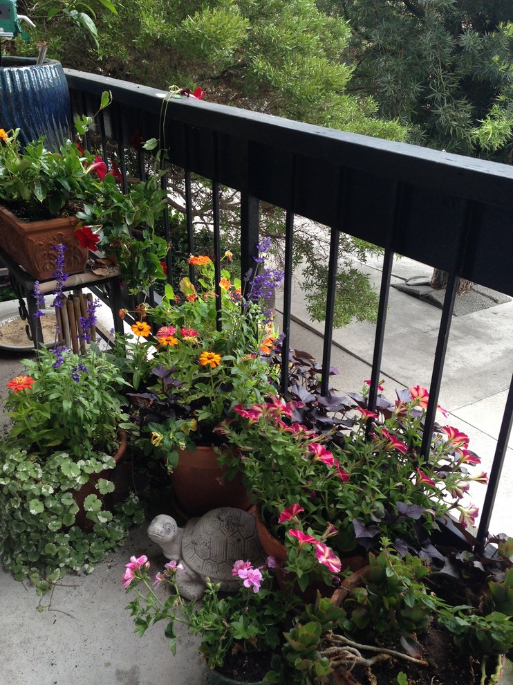 Cette image montre un petit balcon traditionnel avec des plantes en pot.