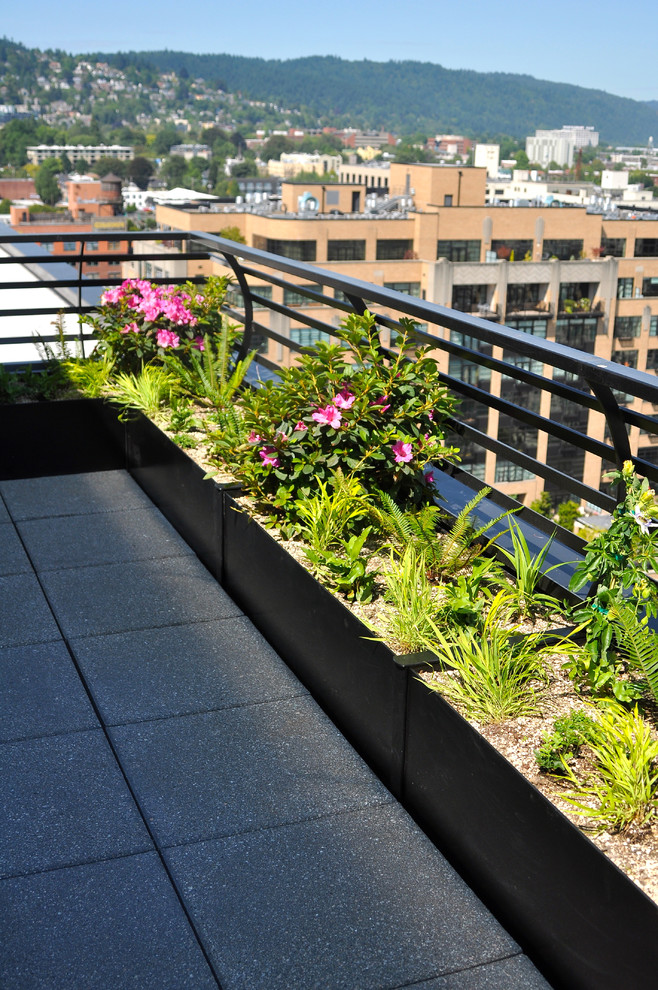 Cette photo montre un balcon tendance avec des plantes en pot et aucune couverture.