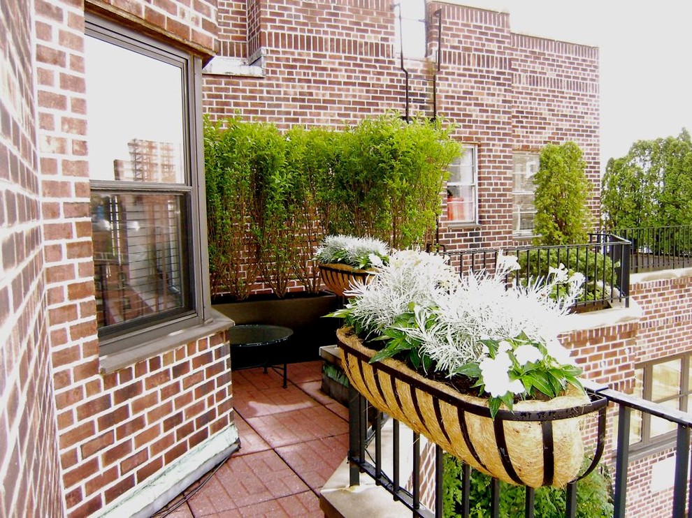 Cette photo montre un balcon chic de taille moyenne avec des plantes en pot et aucune couverture.