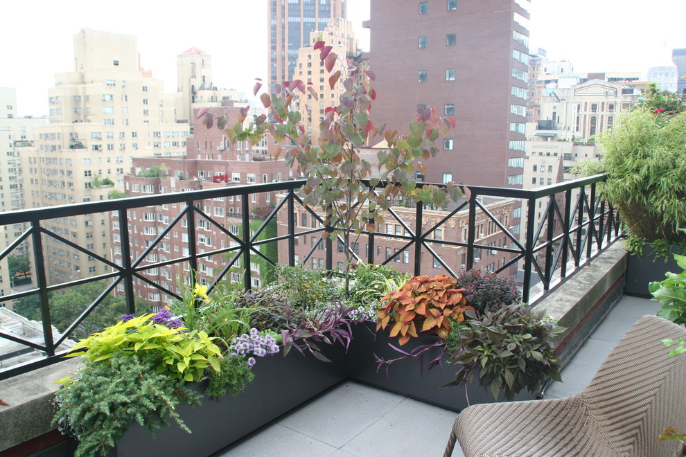 Design ideas for a contemporary balcony in New York.