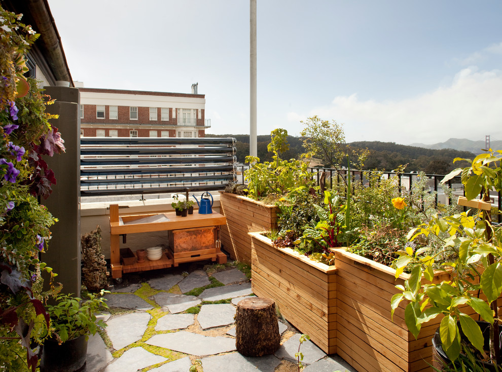 Imagen de balcones contemporáneo con jardín de macetas
