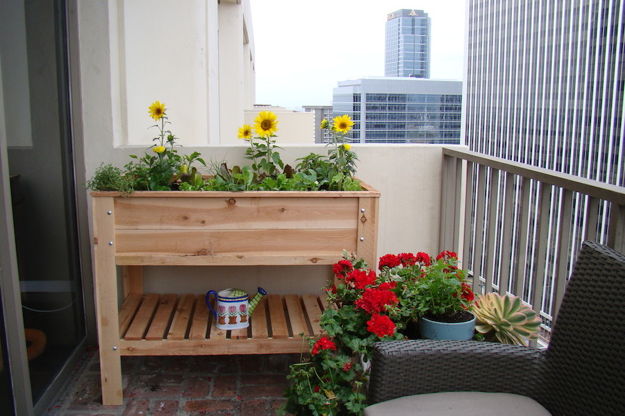 This is an example of a small contemporary balcony in Los Angeles with no cover.