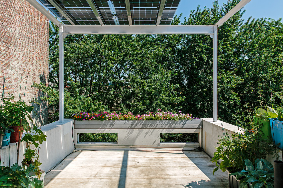 Moderner Balkon mit Kübelpflanzen in New York