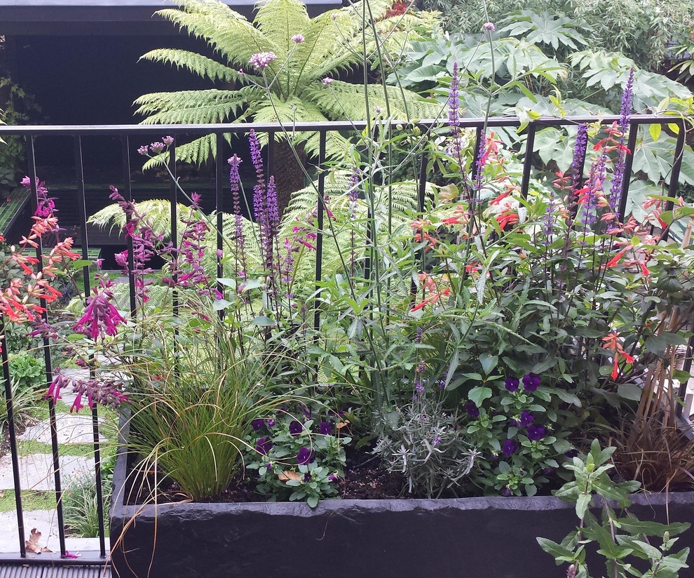 Small world-inspired garden in London with a potted garden.
