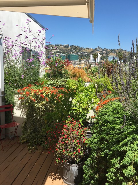 Conosci l'esposizione al sole del tuo terrazzo? Ecco come scegliere le  piante giuste!