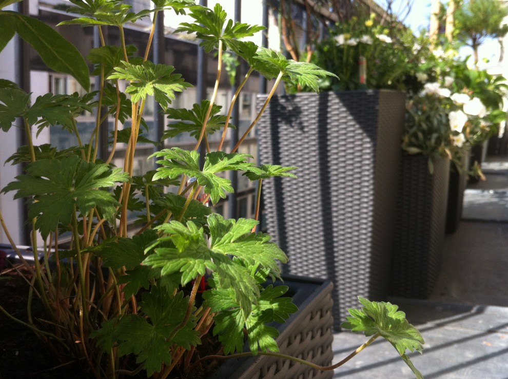 Idée de décoration pour un petit balcon avec des plantes en pot.