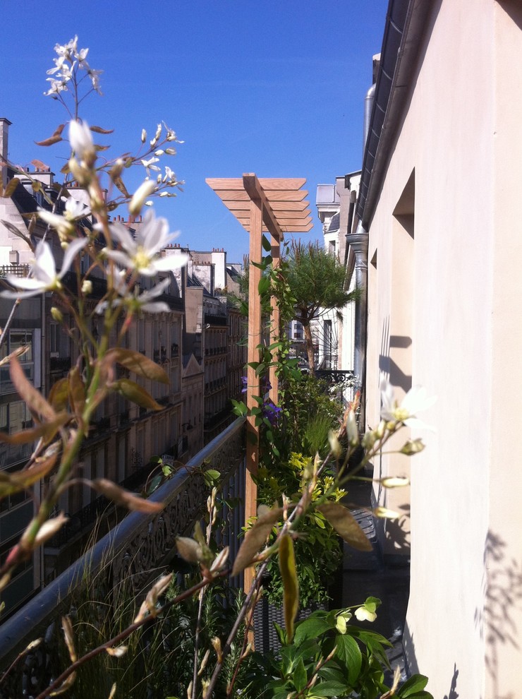 Exemple d'un petit balcon avec des plantes en pot et une pergola.