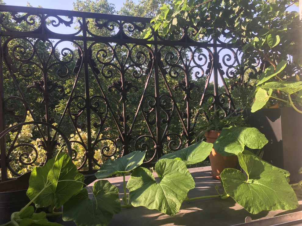 Kleiner, Unbedeckter Eklektischer Balkon mit Kübelpflanzen und Stahlgeländer in Paris