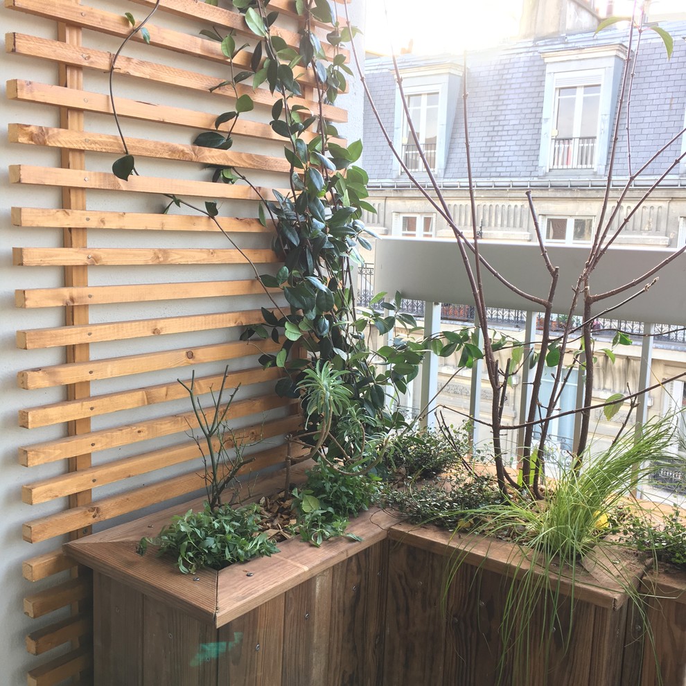 Inspiration pour un petit balcon design avec des plantes en pot et une extension de toiture.