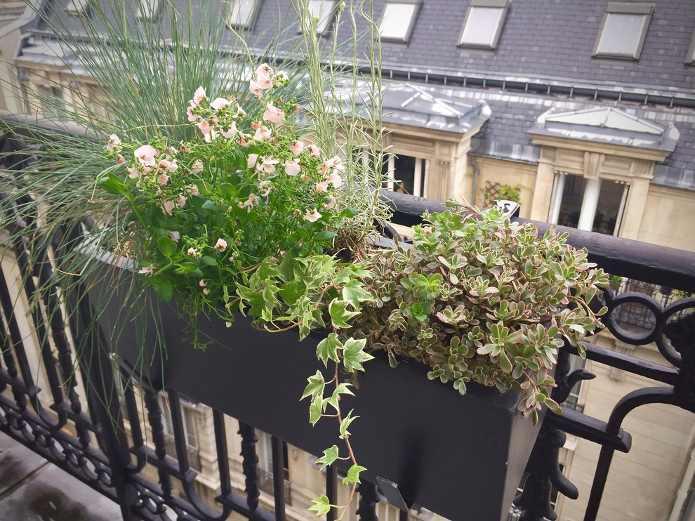 Inspiration for a small contemporary balcony container garden remodel in Paris