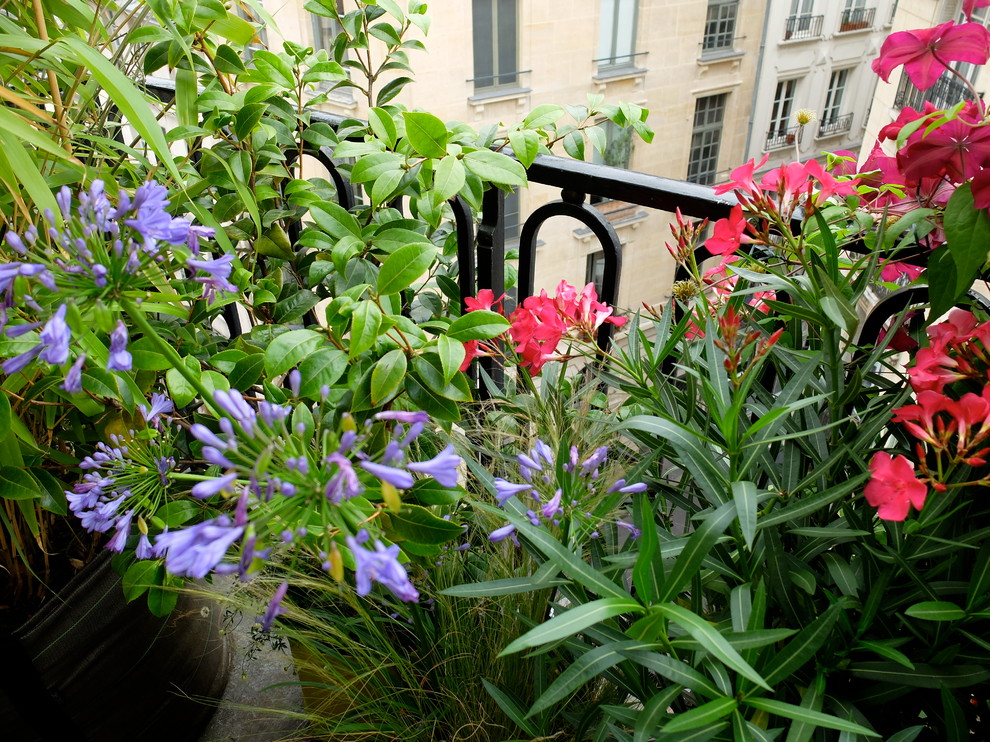 Idee per un ampio balcone stile shabby con un giardino in vaso