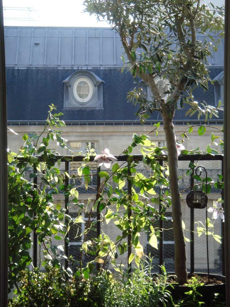 Идея дизайна: маленький балкон и лоджия в стиле неоклассика (современная классика) с растениями в контейнерах для на участке и в саду