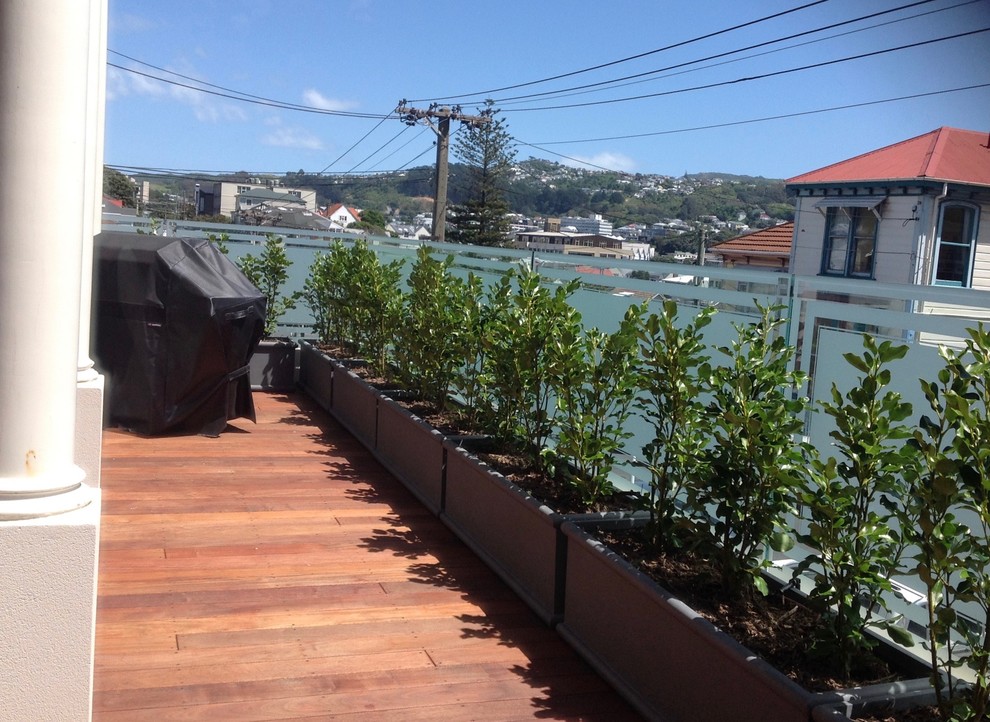 Стильный дизайн: маленький балкон и лоджия в стиле неоклассика (современная классика) с растениями в контейнерах и стеклянными перилами для на участке и в саду - последний тренд