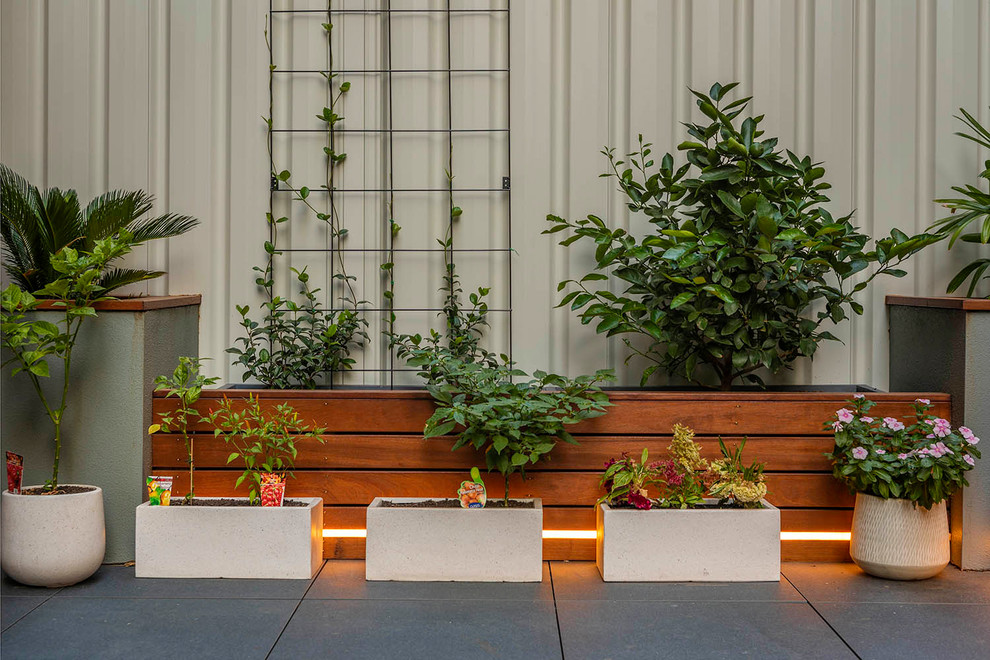Inspiration för små moderna balkonger, med en vertikal trädgård