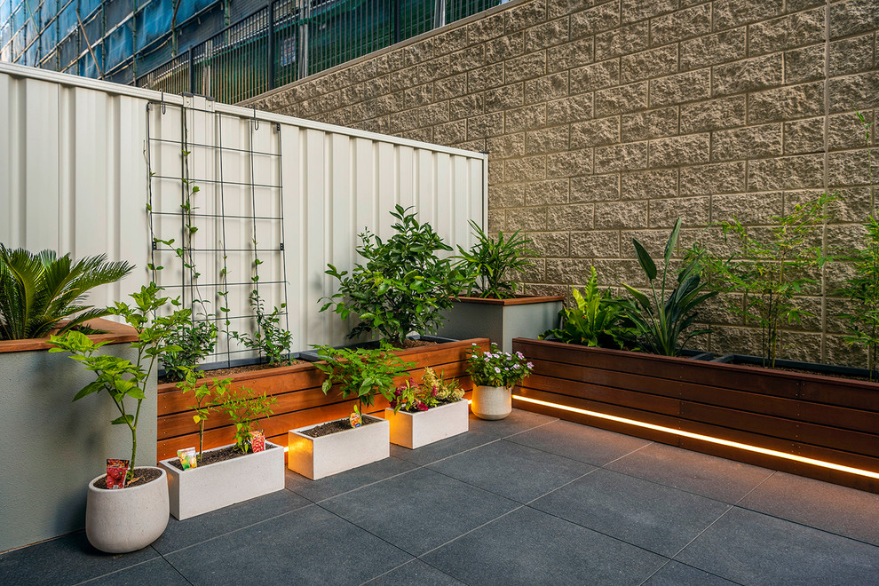 Idéer för små funkis balkonger, med en vertikal trädgård
