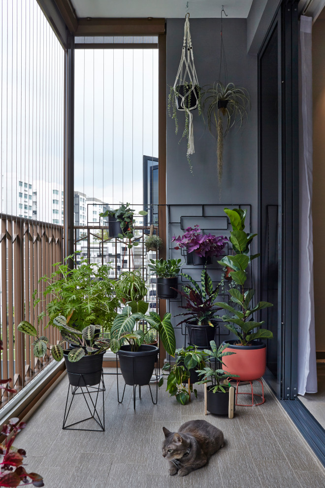 Идея дизайна: балкон и лоджия в современном стиле с растениями в контейнерах, навесом и металлическими перилами