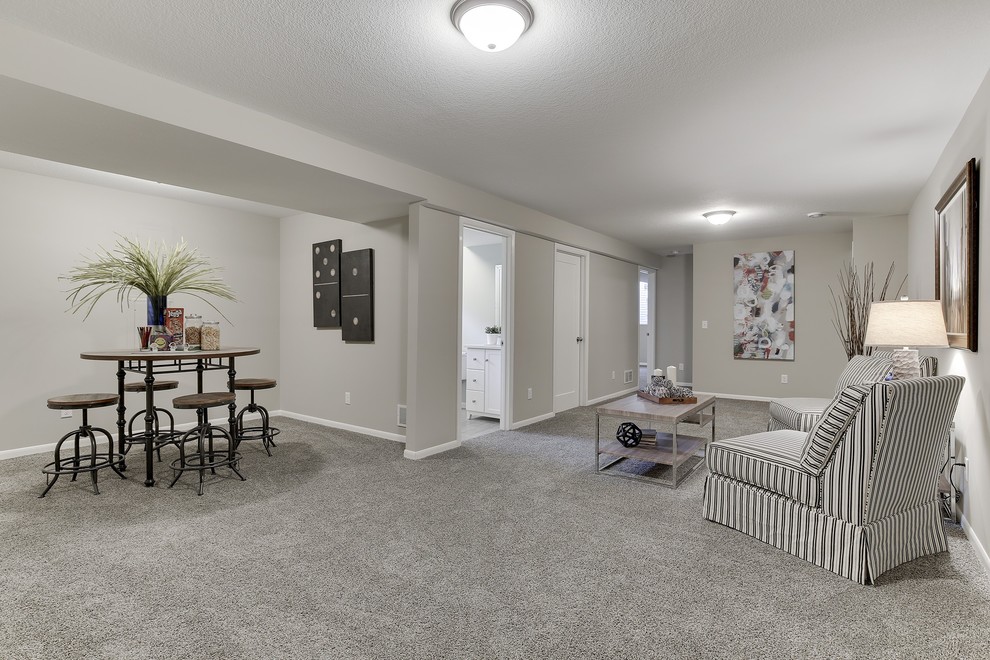 Basement - mid-sized transitional underground carpeted and gray floor basement idea in Minneapolis with gray walls
