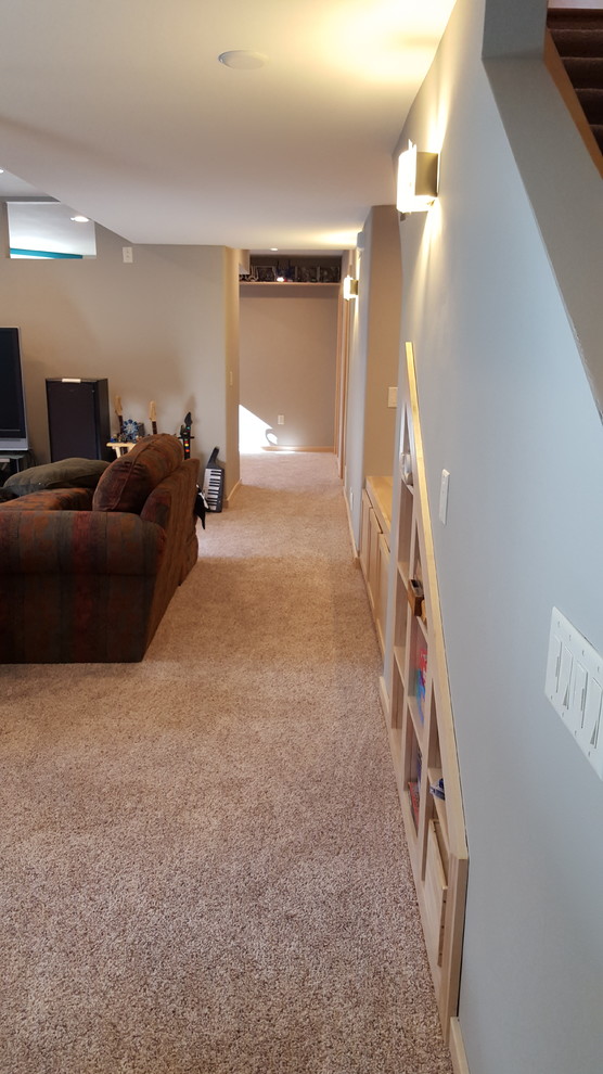 Large transitional look-out carpeted basement photo in Other with blue walls and no fireplace