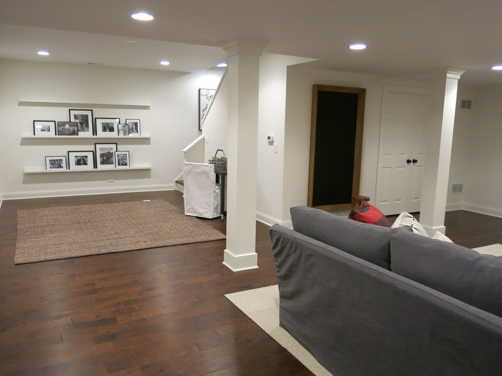 Traditional basement in Chicago.