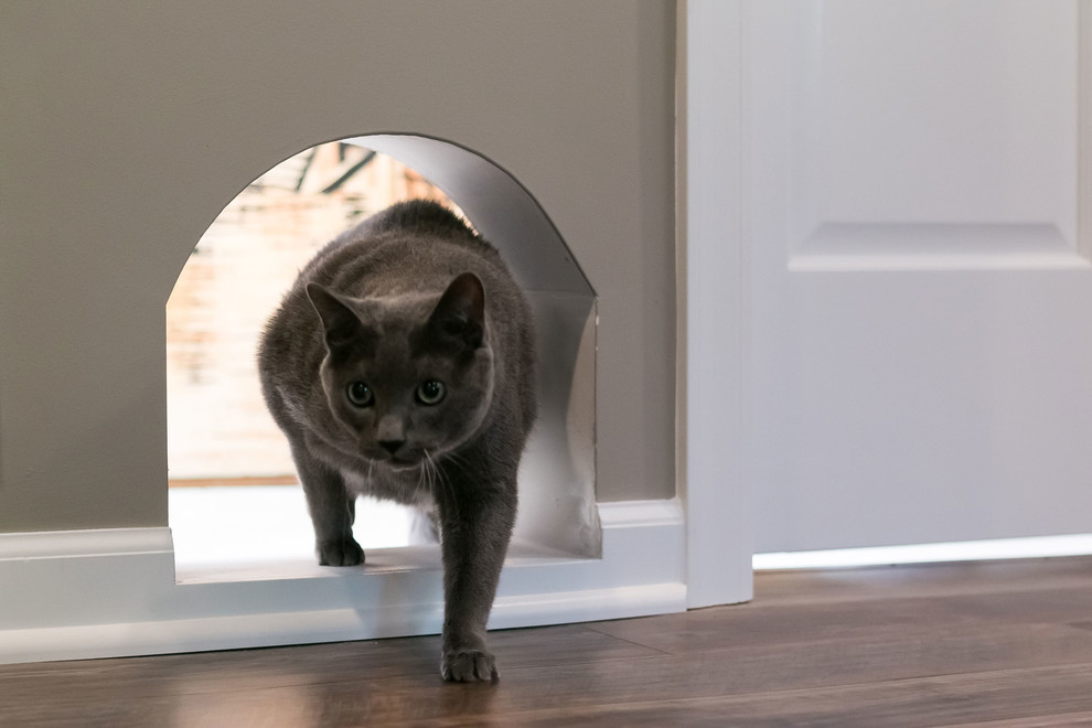 Basement Cat Door Transitional Basement Minneapolis by FBC