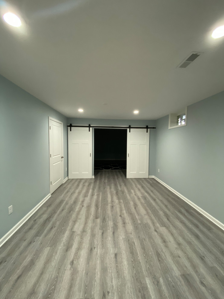 Источник вдохновения для домашнего уюта: подземный подвал среднего размера в стиле модернизм с серыми стенами, полом из винила и серым полом
