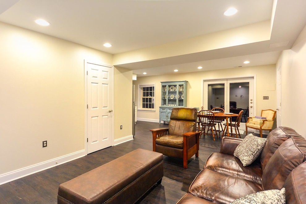 Basement Finishing/Remodeling, North Potomac, Maryland Traditional
