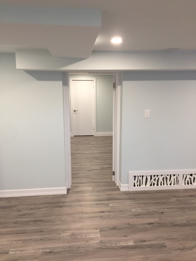 Basement Renovation & Adding a new Bathroom Modern Basement