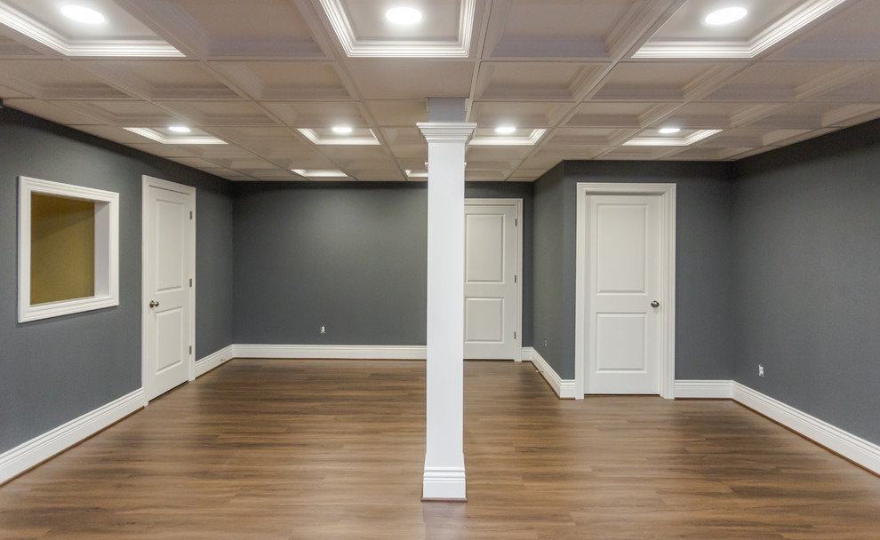 Mid-sized elegant underground vinyl floor and brown floor basement photo in Other with blue walls and no fireplace