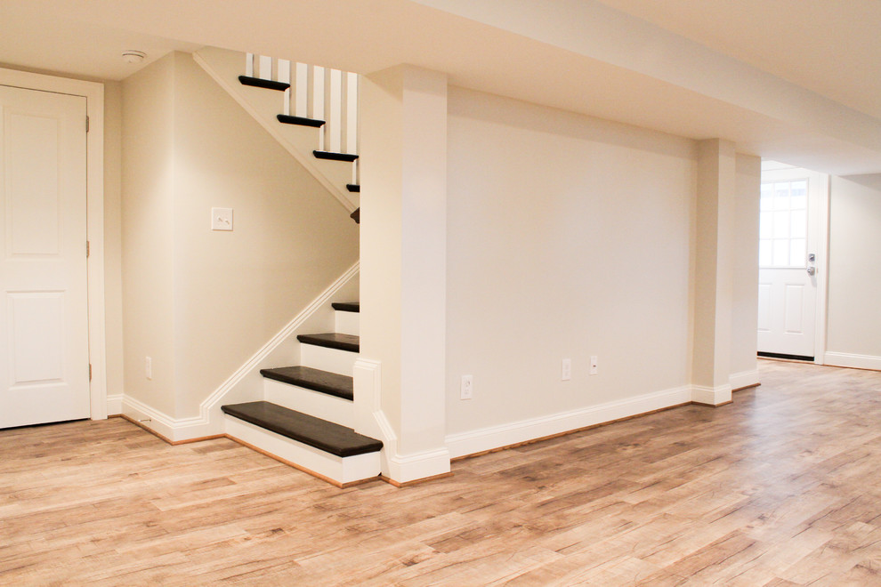 Basement with exterior entrance Traditional Basement DC Metro