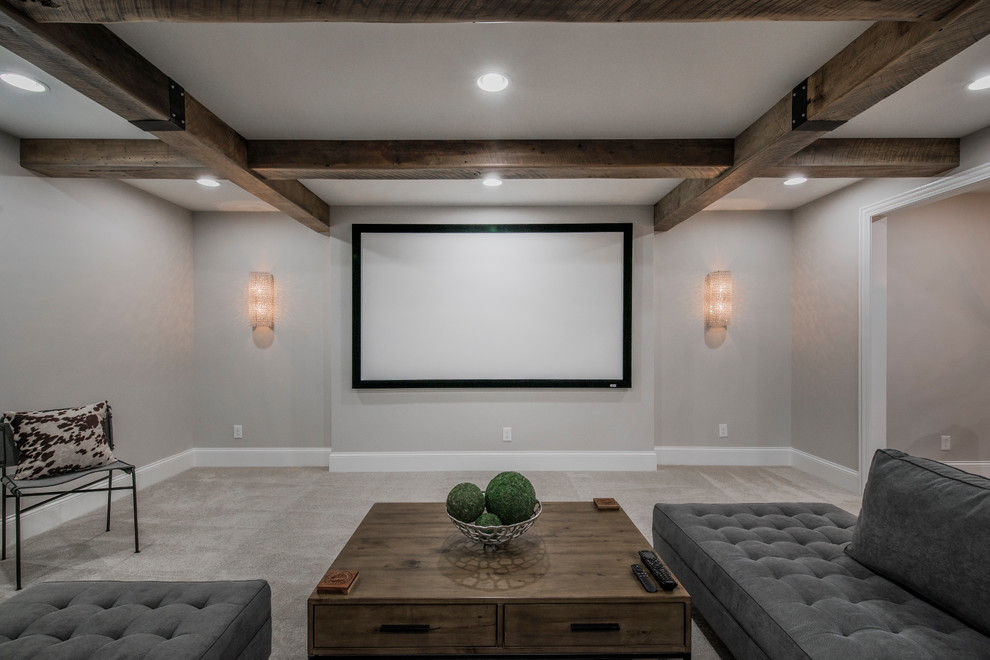 Cottage home theater photo in Columbus