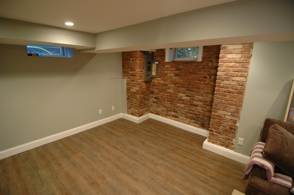 Center Hall Colonial Basement Renovation - Traditional - Basement - New