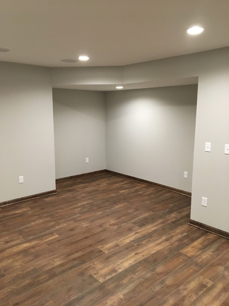 Basement - traditional basement idea in Minneapolis