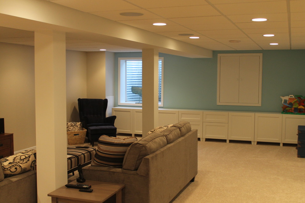 Chicago Basement Remodeling Traditional Basement Chicago Houzz