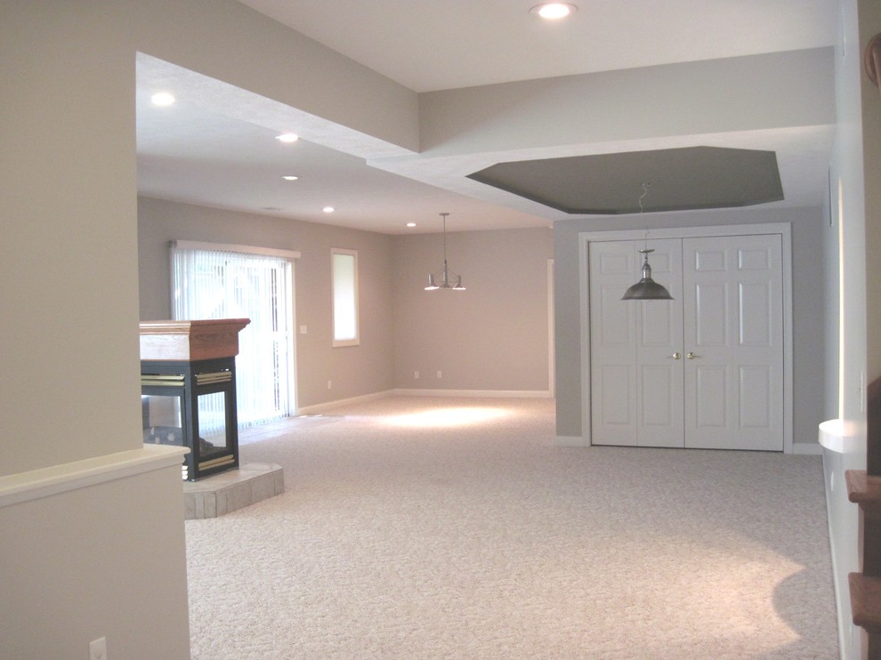 Example of a transitional basement design in Other