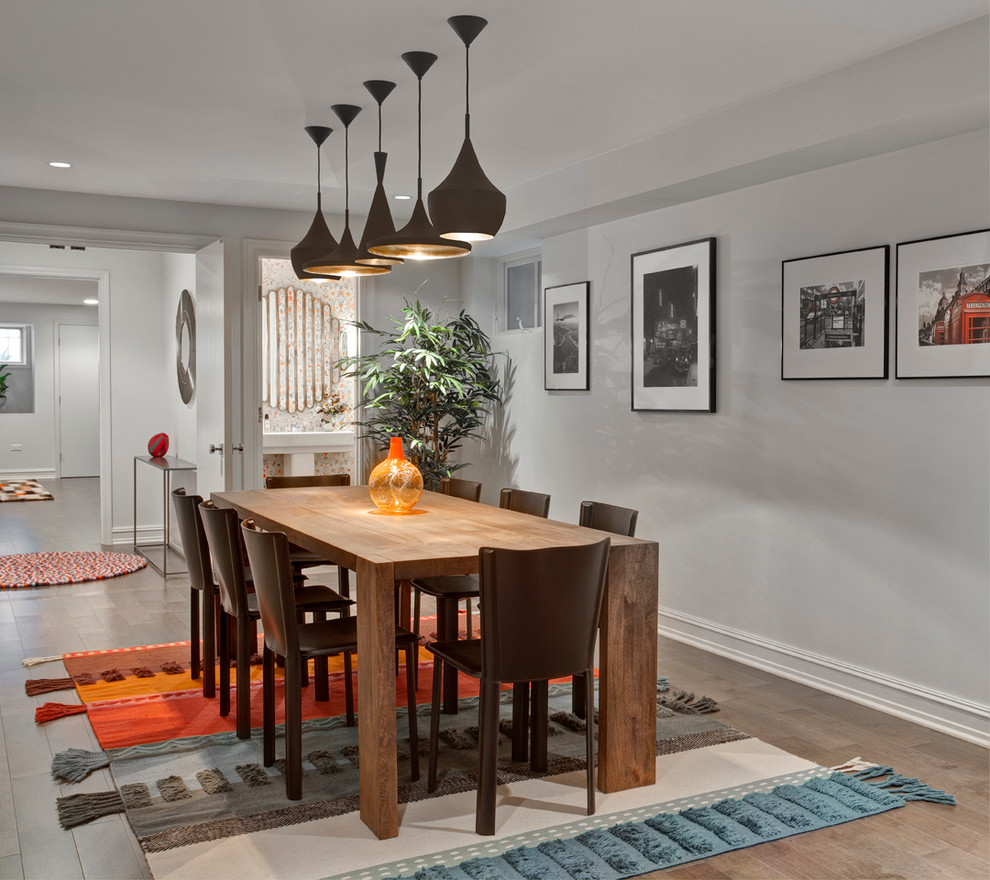 Trendy look-out dark wood floor basement photo in Chicago with white walls