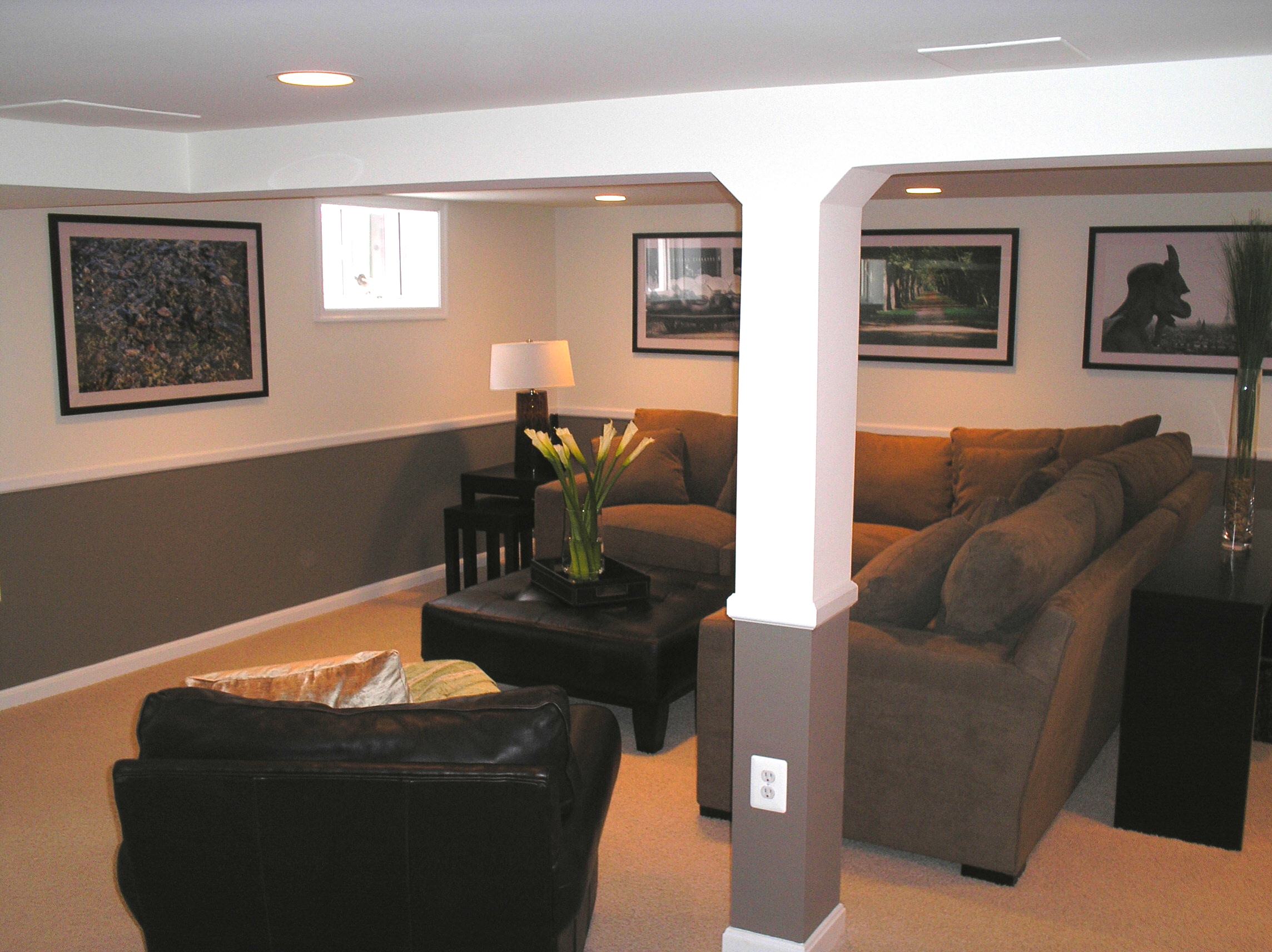 Pole Basement Ideas Photos Houzz