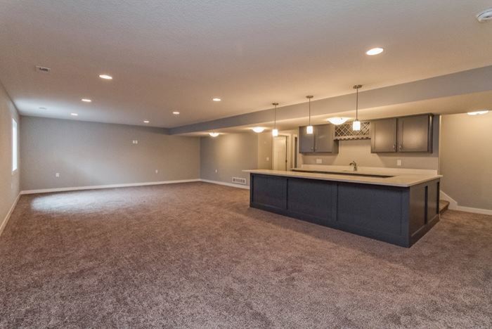 Large transitional look-out carpeted basement photo in Other with gray walls and no fireplace