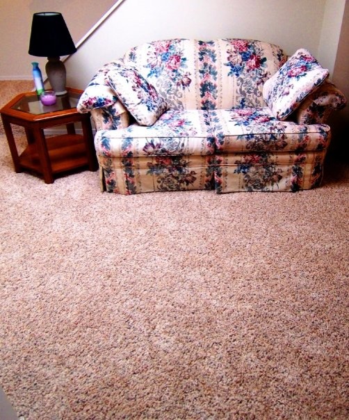 Mid-sized cottage chic walk-out carpeted basement photo in Baltimore with beige walls