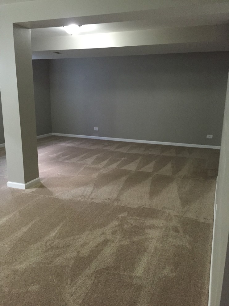 Mid-sized elegant look-out carpeted basement photo in Chicago with gray walls and no fireplace